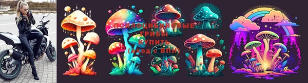прущие крисы Краснослободск