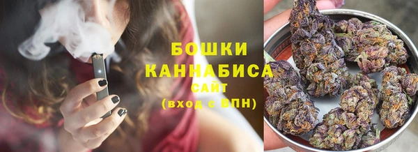 тгк Кулебаки