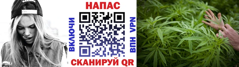 Каннабис план  Микунь 